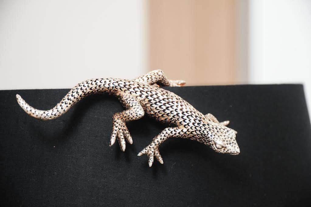La Salamandre A 니스 외부 사진
